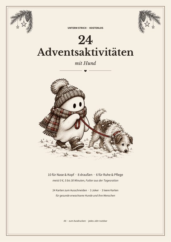 Deckblatt: 24 Adventsaktivitäten mit Hund, Gespenst mit Mütze führt einen struppigen Hund durch den Schnee